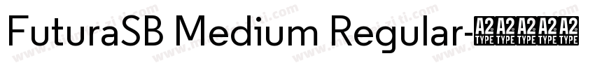 FuturaSB Medium Regular字体转换